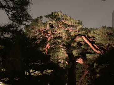 六義園に投稿された画像（2023/3/25）