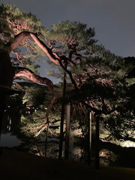 六義園に投稿された画像（2023/3/25）