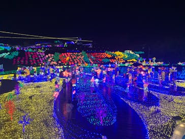 伊豆ぐらんぱる公園に投稿された画像（2023/3/25）