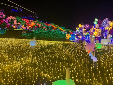 伊豆ぐらんぱる公園に投稿された画像（2023/3/25）