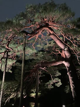 六義園に投稿された画像（2023/3/25）