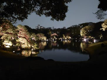 六義園に投稿された画像（2023/3/25）