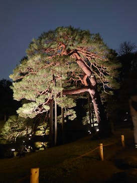 六義園に投稿された画像（2023/3/25）