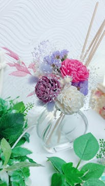 ずこうしつ〜sugamo〜に投稿された画像（2023/3/25）