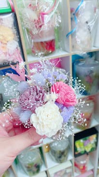 ずこうしつ〜sugamo〜に投稿された画像（2023/3/25）