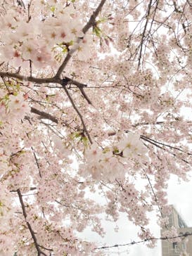 ずこうしつ〜sugamo〜に投稿された画像（2023/3/25）