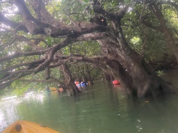 カヌー体験　らぐ～んに投稿された画像（2023/3/25）