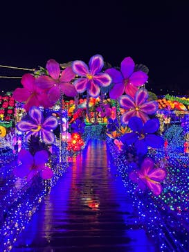 伊豆ぐらんぱる公園に投稿された画像（2023/3/25）