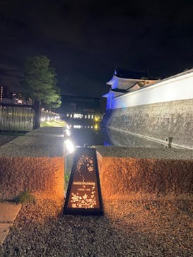 『NAKED FLOWERS 2023 桜 世界遺産・二条城』に投稿された画像（2023/3/25）