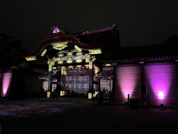 『NAKED FLOWERS 2023 桜 世界遺産・二条城』に投稿された画像（2023/3/25）