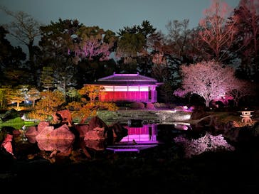 『NAKED FLOWERS 2023 桜 世界遺産・二条城』に投稿された画像（2023/3/25）