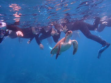 calm石垣島に投稿された画像（2023/3/25）