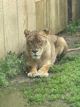 東武動物公園に投稿された画像（2023/3/25）