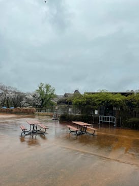 東武動物公園に投稿された画像（2023/3/25）