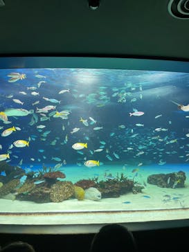 サンシャイン水族館に投稿された画像（2023/3/25）