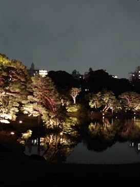 六義園に投稿された画像（2023/3/25）