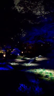 六義園に投稿された画像（2023/3/25）