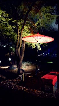 六義園に投稿された画像（2023/3/25）