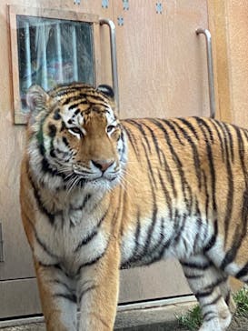 那須どうぶつ王国に投稿された画像（2023/3/25）