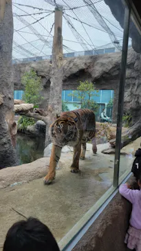 神戸どうぶつ王国に投稿された画像（2023/3/25）