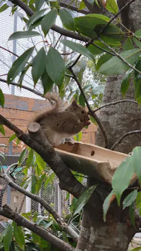 神戸どうぶつ王国に投稿された画像（2023/3/25）