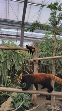 神戸どうぶつ王国に投稿された画像（2023/3/25）