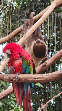 神戸どうぶつ王国に投稿された画像（2023/3/25）