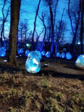 チームラボどんぐりの森の呼応する生命に投稿された画像（2023/3/25）