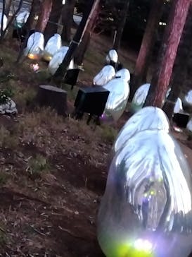 チームラボどんぐりの森の呼応する生命に投稿された画像（2023/3/25）