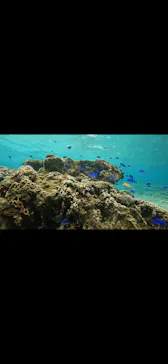 武藤潜水に投稿された画像（2023/3/26）