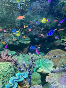 サンシャイン水族館に投稿された画像（2023/3/26）