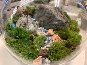 カルチャースクールいろはに投稿された画像（2023/3/26）