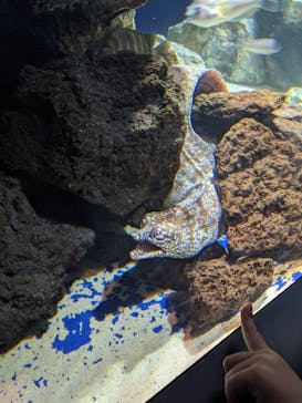 サンシャイン水族館に投稿された画像（2023/3/26）