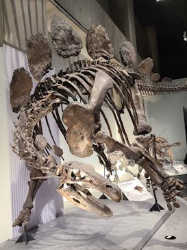 特別展「恐竜博2023」に投稿された画像（2023/3/26）