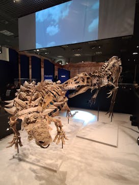 特別展「恐竜博2023」に投稿された画像（2023/3/26）