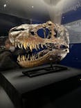 特別展「恐竜博2023」に投稿された画像（2023/3/26）