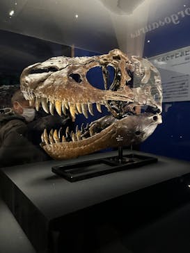 特別展「恐竜博2023」に投稿された画像（2023/3/26）