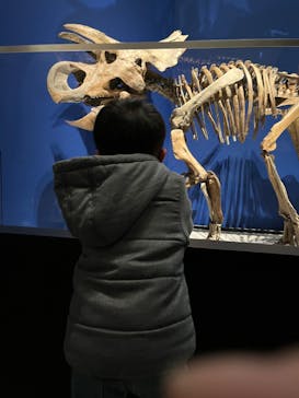 特別展「恐竜博2023」に投稿された画像（2023/3/26）