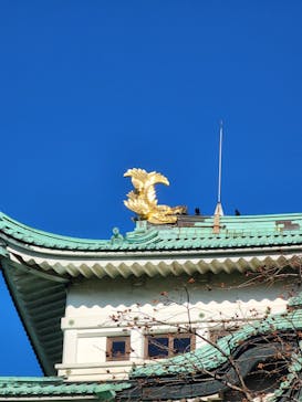 名古屋城に投稿された画像（2023/3/26）