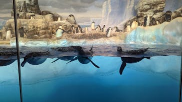 名古屋港水族館に投稿された画像（2023/3/26）