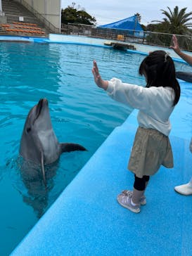 南知多ビーチランド＆南知多おもちゃ王国に投稿された画像（2023/3/26）