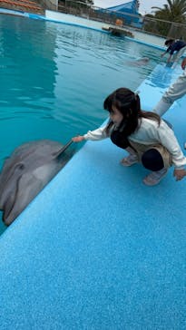 南知多ビーチランド＆南知多おもちゃ王国に投稿された画像（2023/3/26）