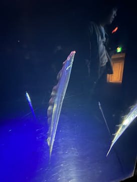 大分マリーンパレス水族館 「うみたまご」に投稿された画像（2023/3/26）