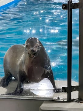 登別マリンパークニクスに投稿された画像（2023/3/26）