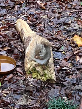 神戸どうぶつ王国に投稿された画像（2023/3/26）