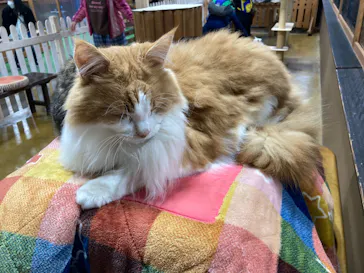 神戸どうぶつ王国に投稿された画像（2023/3/26）