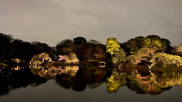 六義園に投稿された画像（2023/3/26）