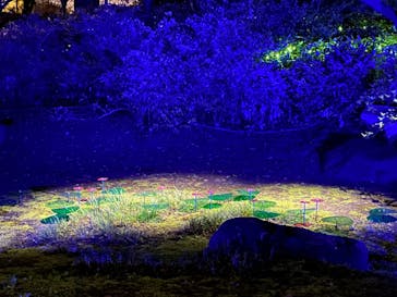 六義園に投稿された画像（2023/3/26）