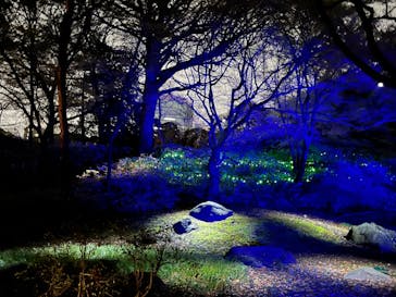 六義園に投稿された画像（2023/3/26）