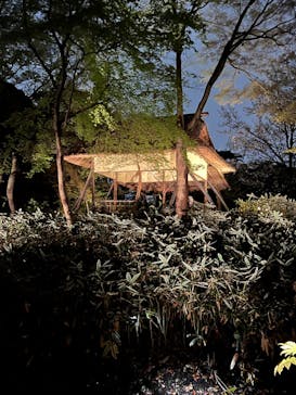 六義園に投稿された画像（2023/3/26）